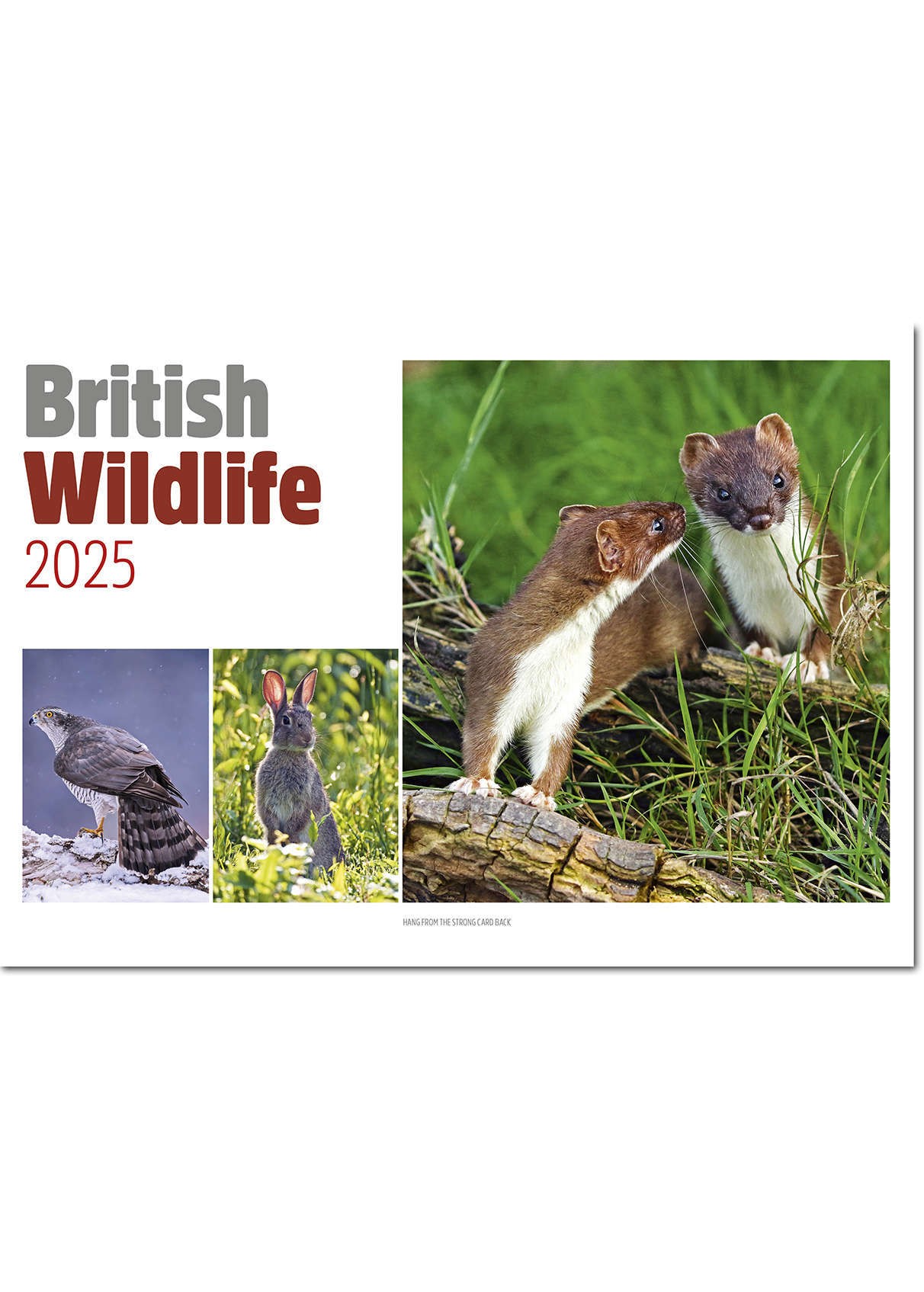 British Wildlife Central Spiral