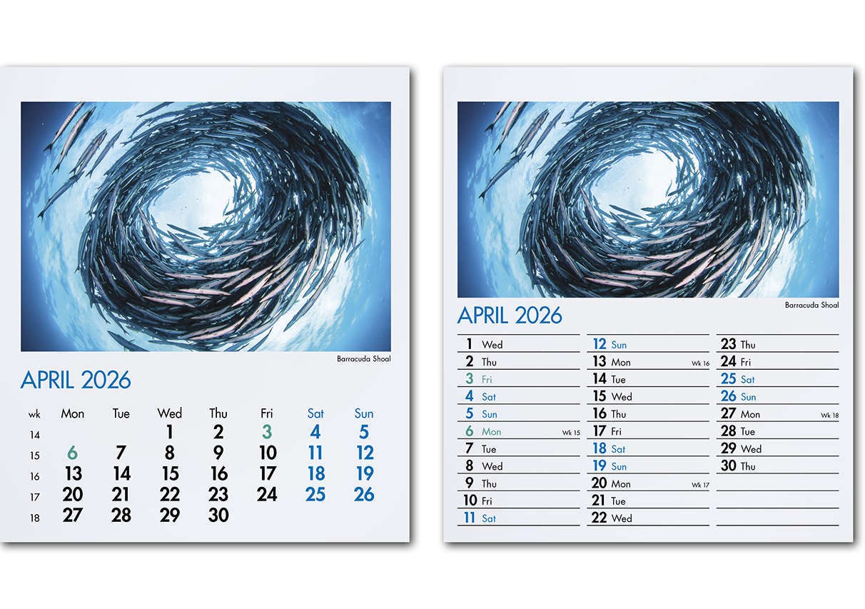 Blue Planet Mini Desk