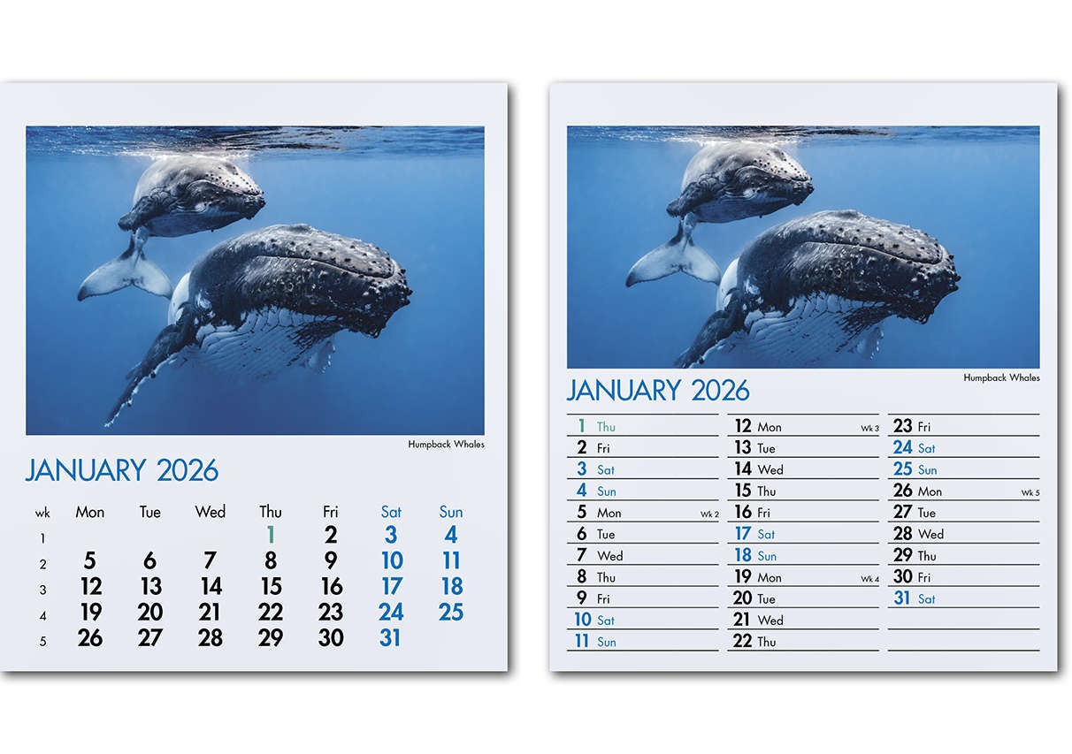 Blue Planet Mini Desk
