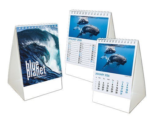 Blue Planet Mini Desk