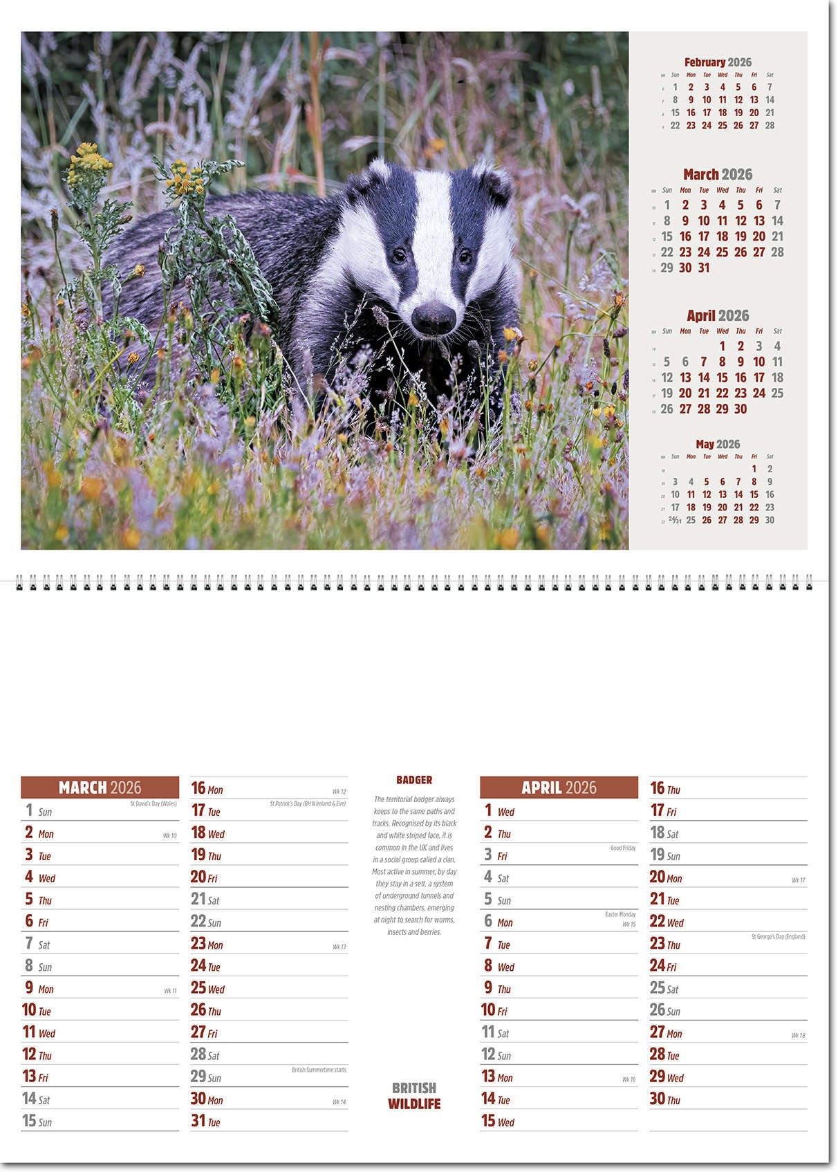 British Wildlife Central Spiral