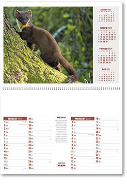 British Wildlife Central Spiral