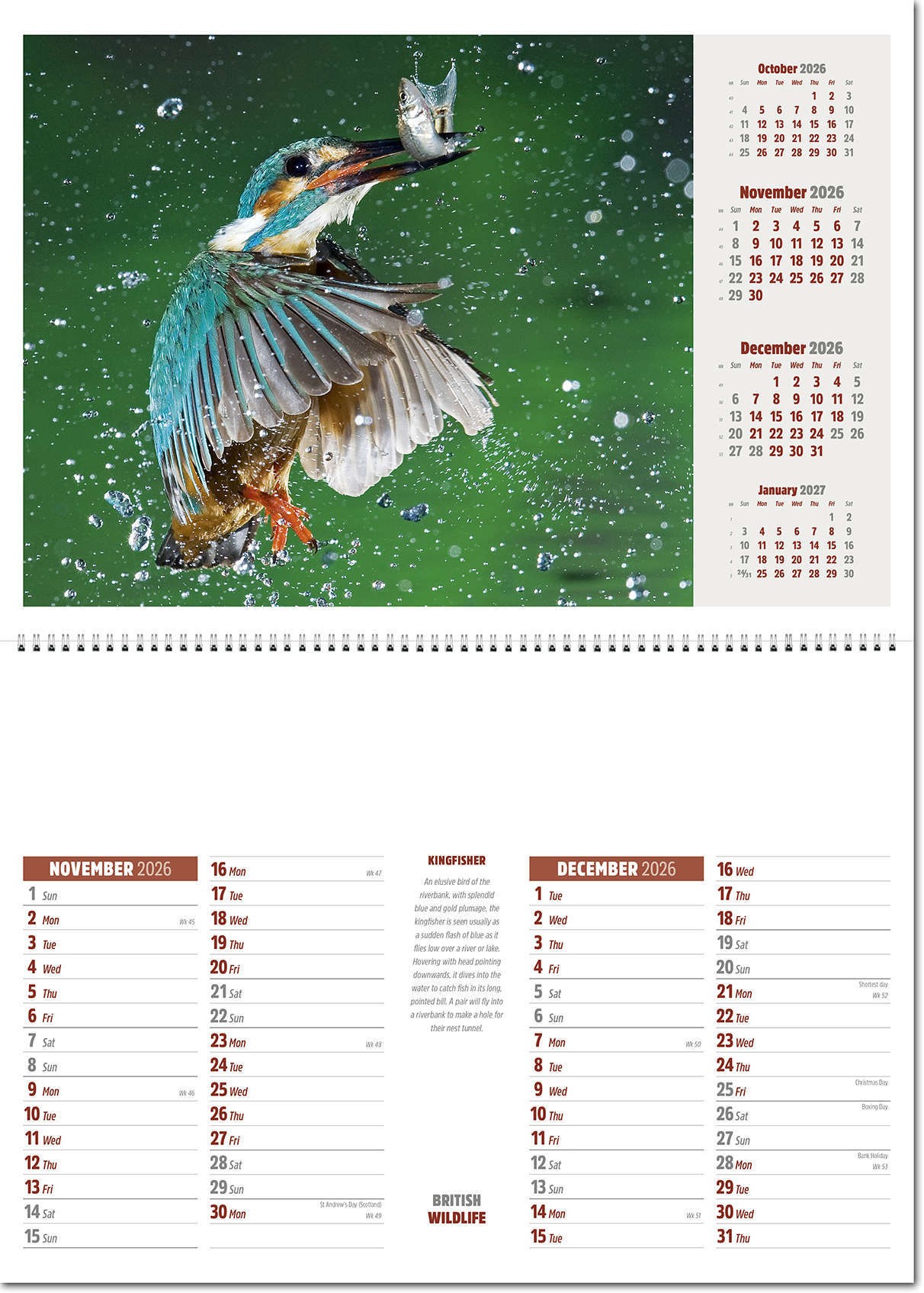 British Wildlife Central Spiral