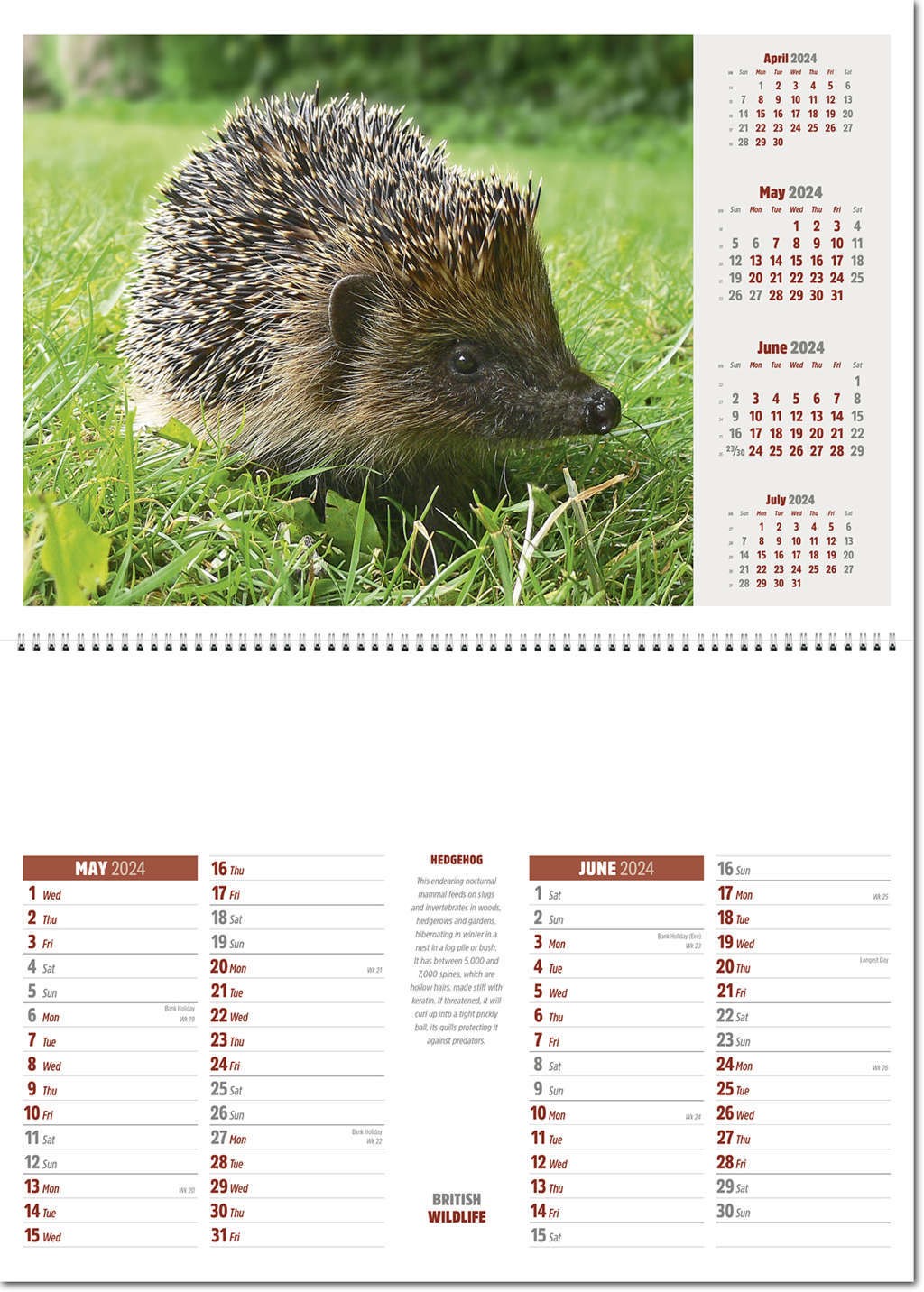 British Wildlife Central Spiral