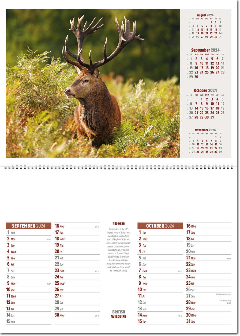 British Wildlife Central Spiral