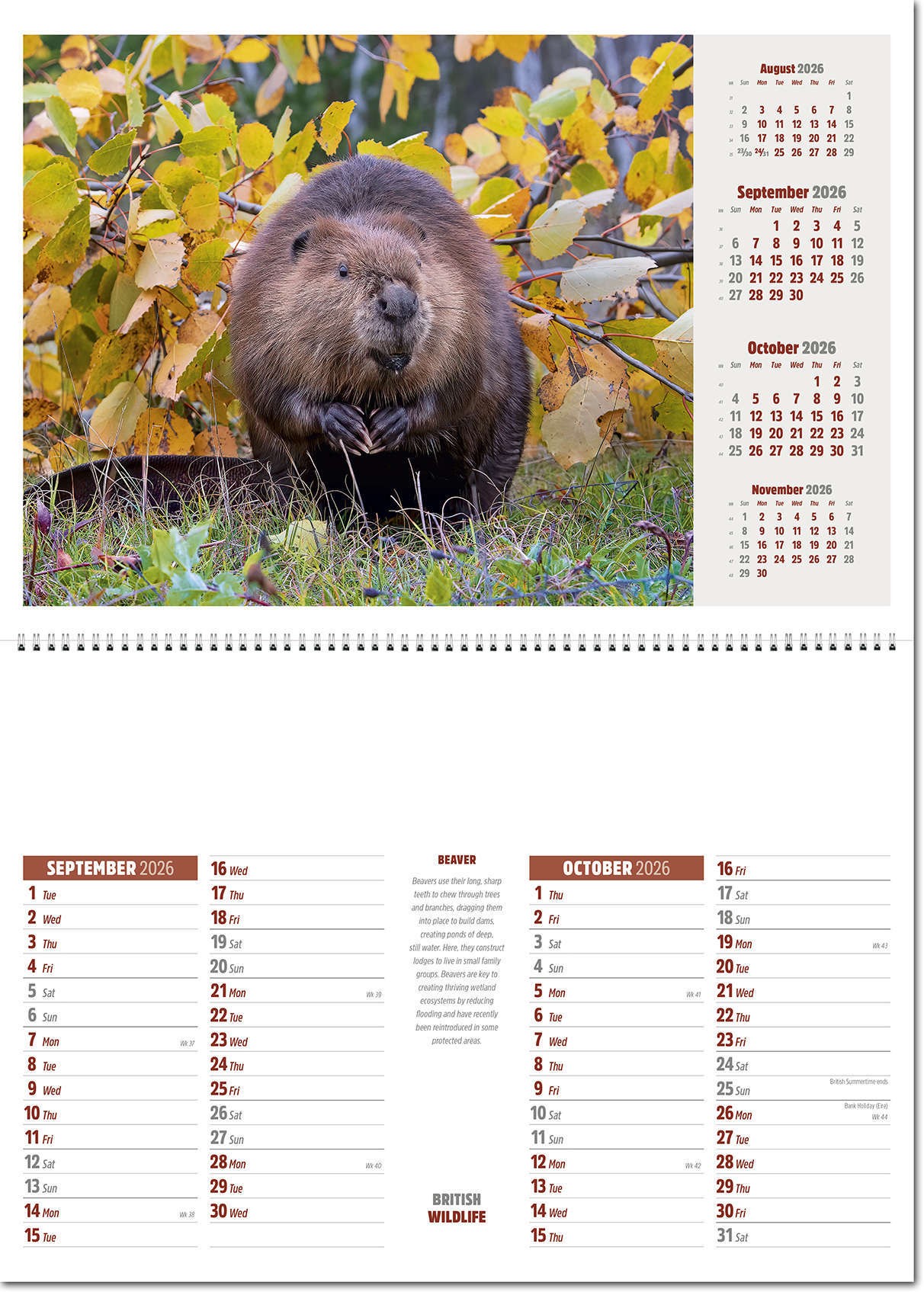 British Wildlife Central Spiral