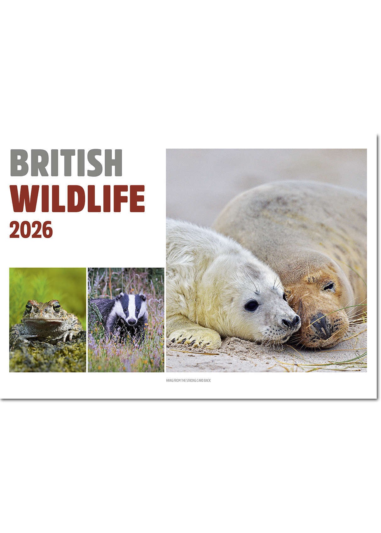 British Wildlife Central Spiral