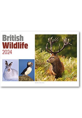 British Wildlife Central Spiral