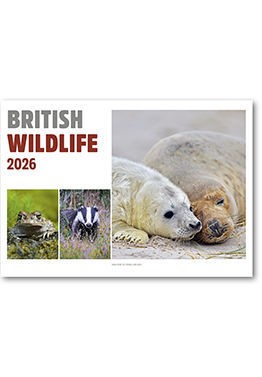 British Wildlife Central Spiral