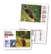 British Wildlife Central Spiral