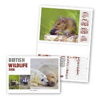 British Wildlife Central Spiral