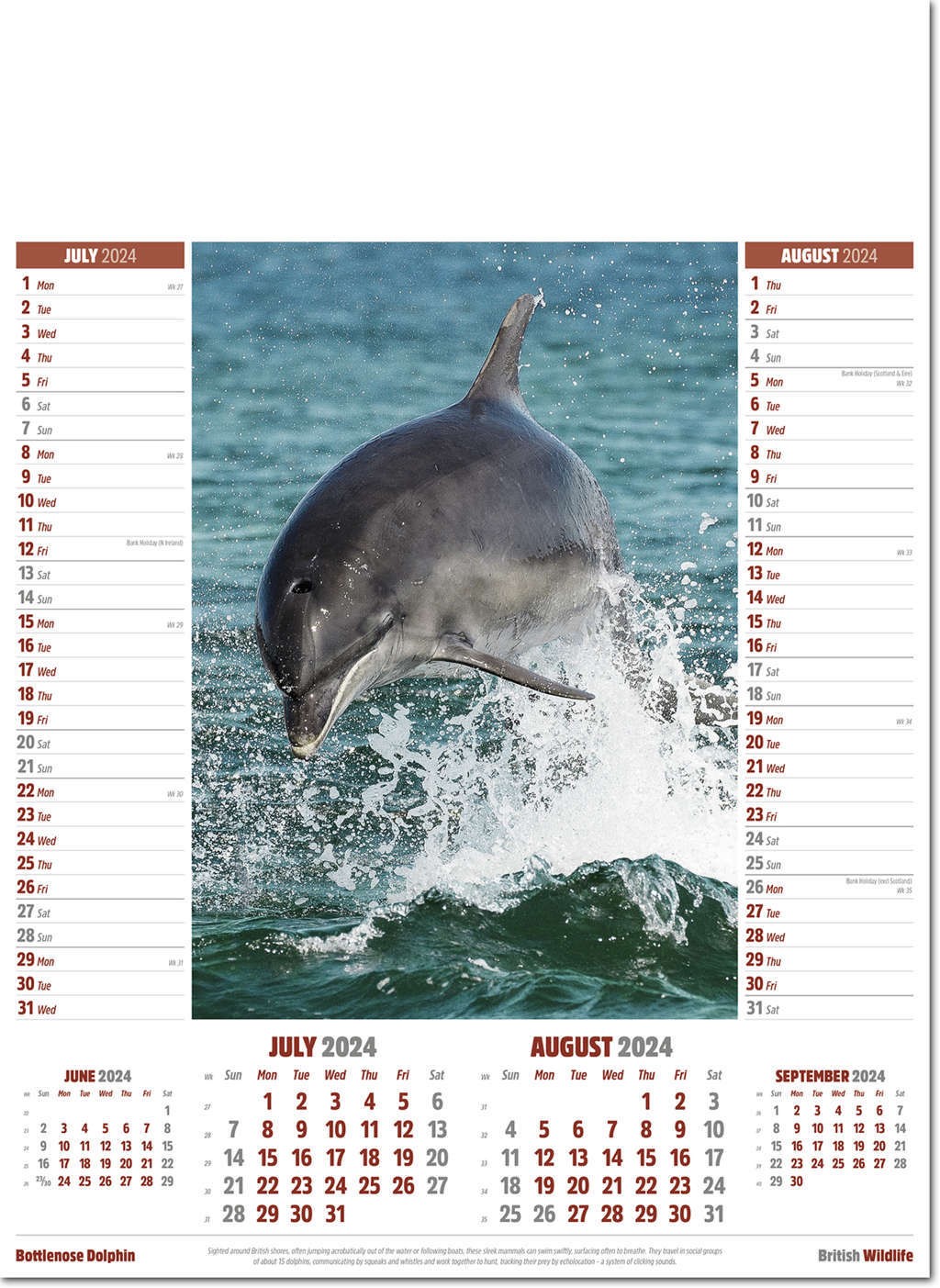 British Wildlife