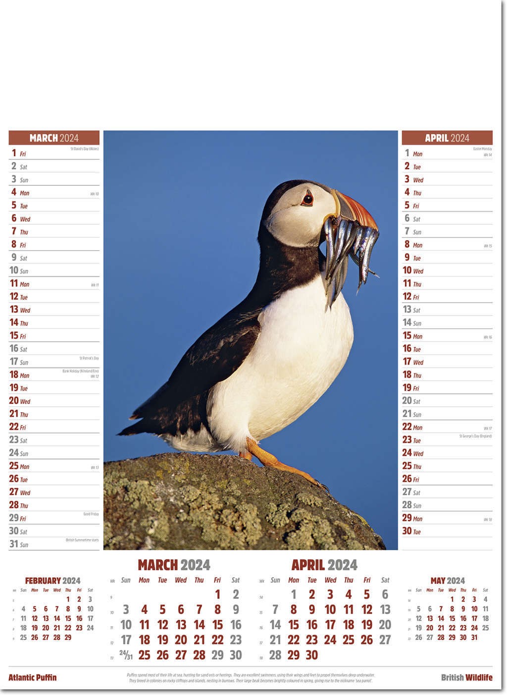 British Wildlife