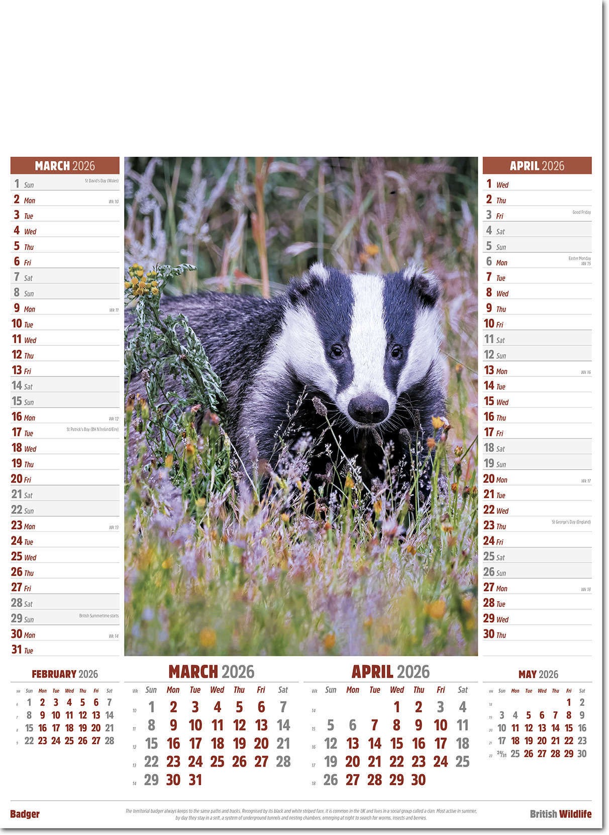 British Wildlife