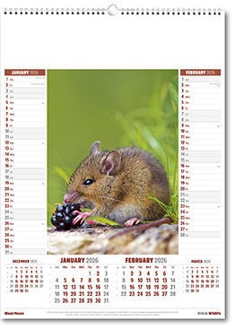 British Wildlife