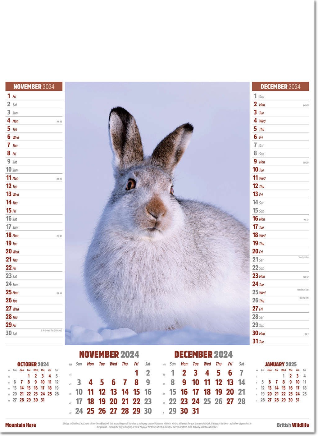 British Wildlife