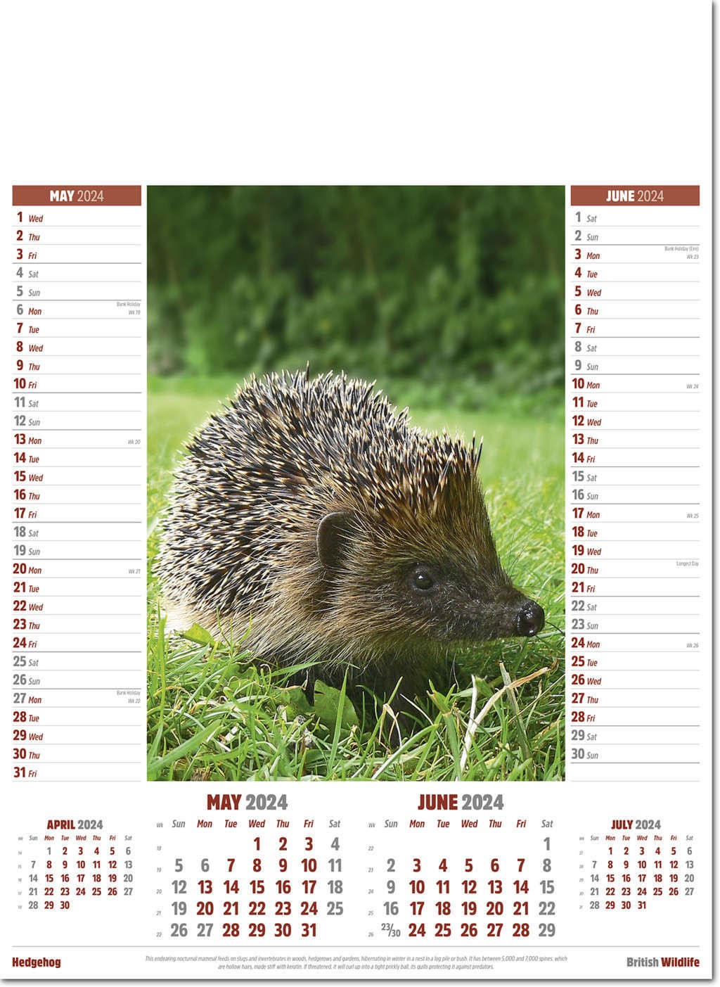 British Wildlife