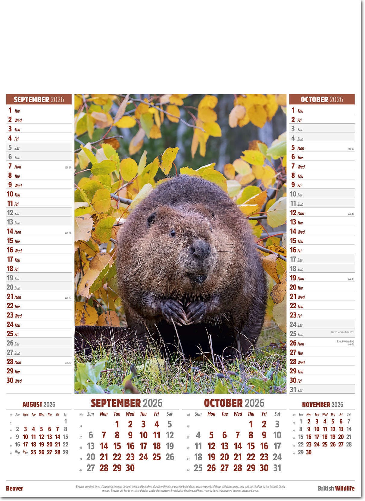 British Wildlife