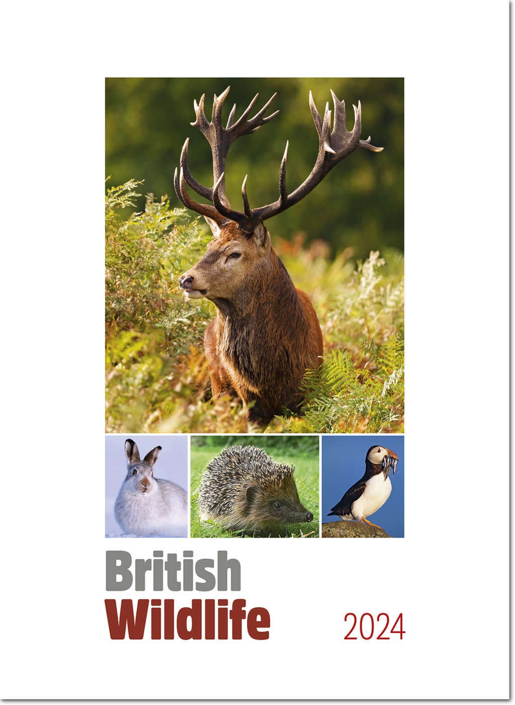 British Wildlife