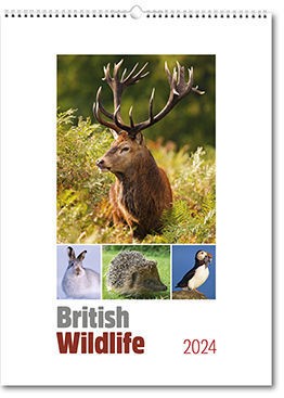 British Wildlife