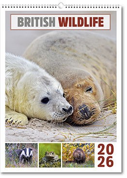 British Wildlife