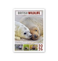 British Wildlife