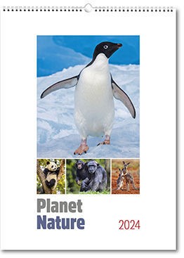 Planet Nature