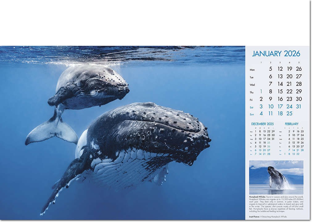 Deep Blue