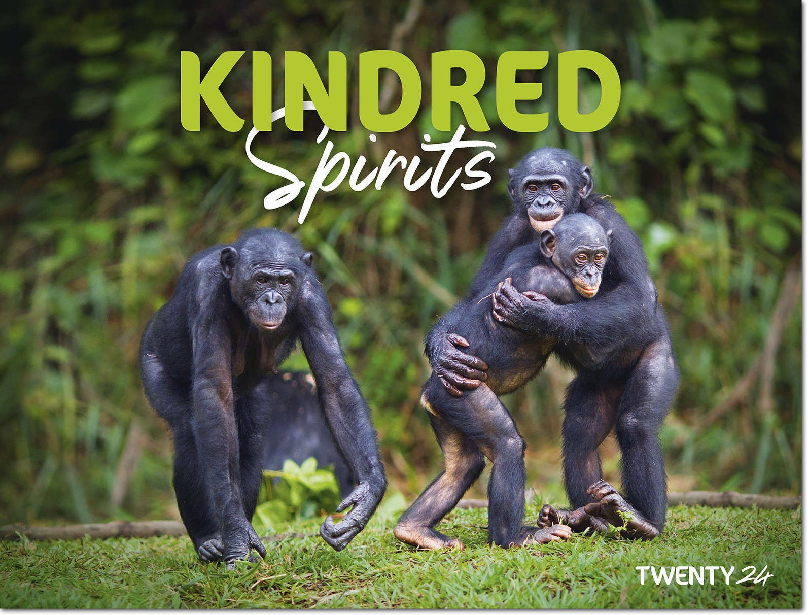 Kindred Spirits