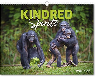 Kindred Spirits