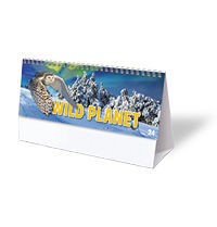 Wild Planet Desk