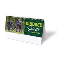 Kindred Spirits Desk