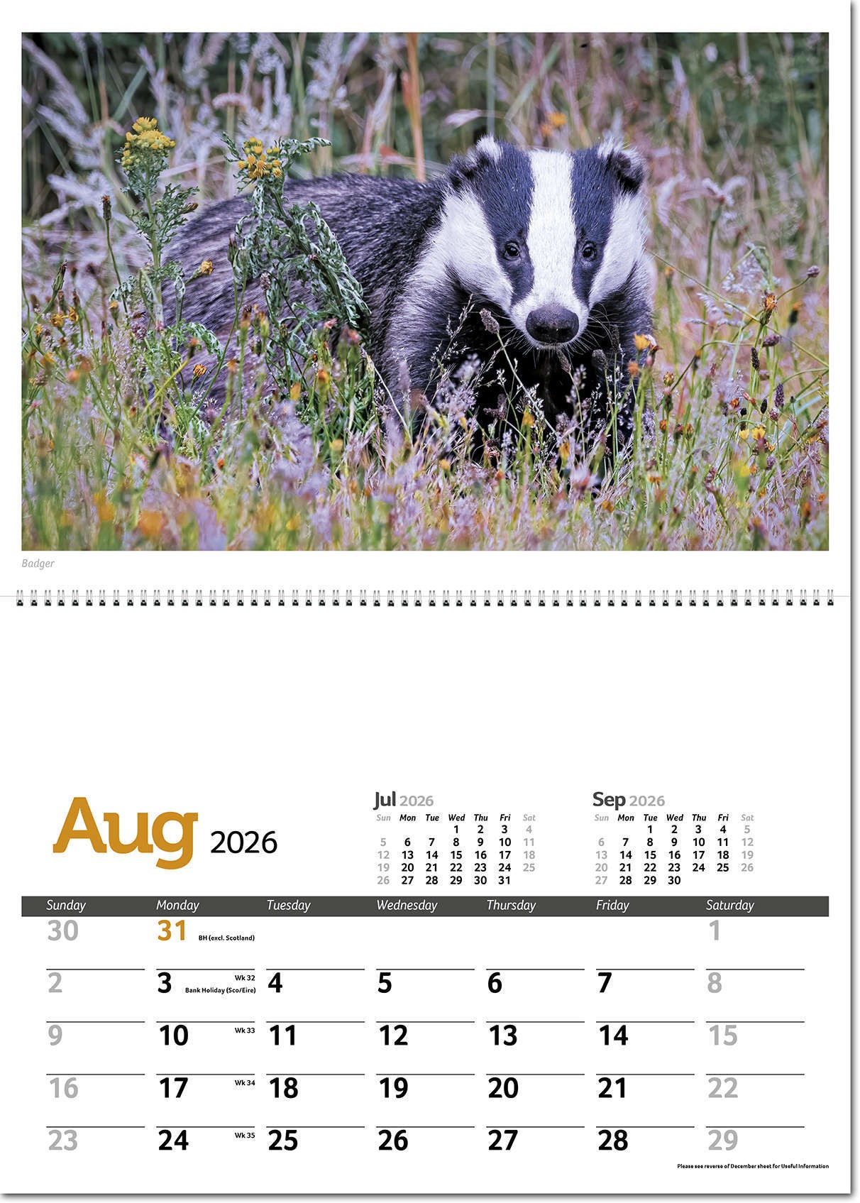 Wildlife in Britain Central Spiral