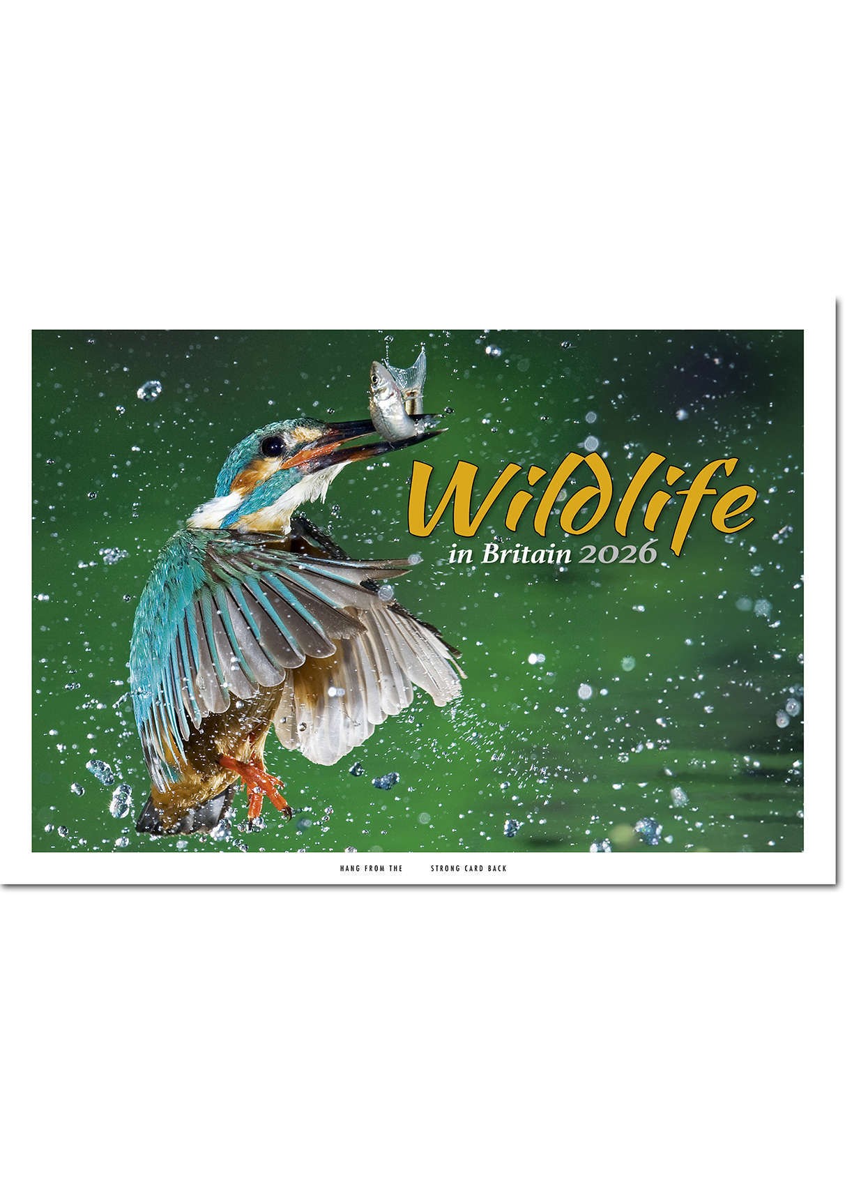 Wildlife in Britain Central Spiral