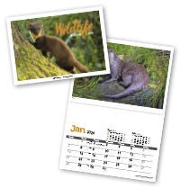 Wildlife in Britain Central Spiral
