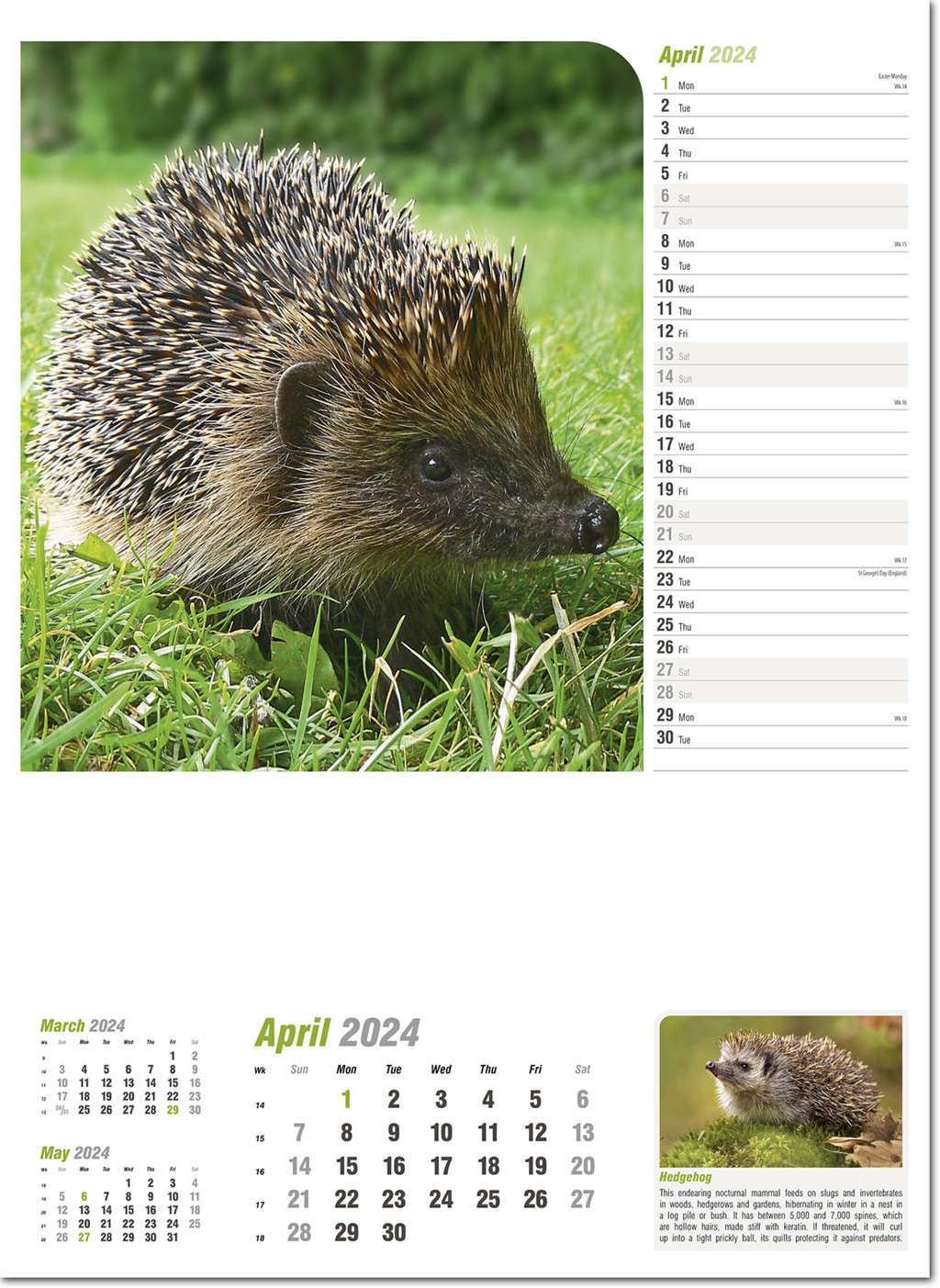 Wildlife in Britain