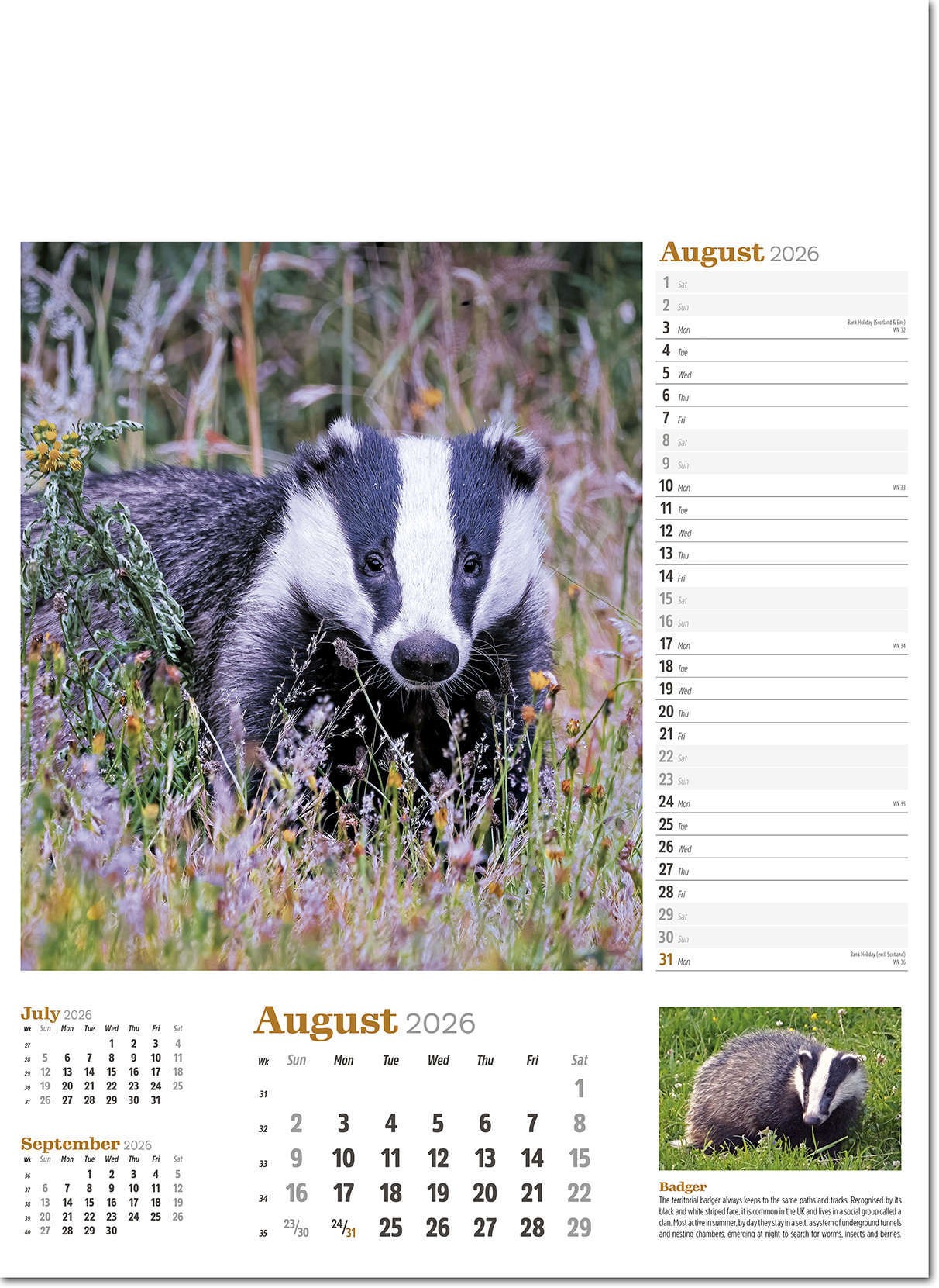 Wildlife in Britain