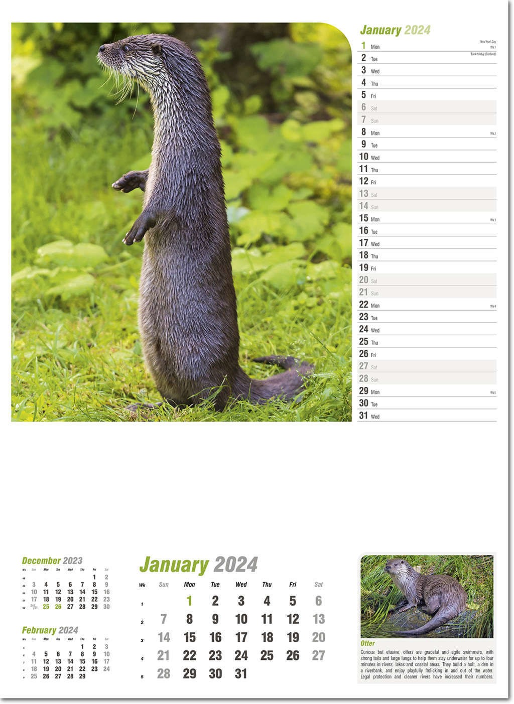 Wildlife in Britain