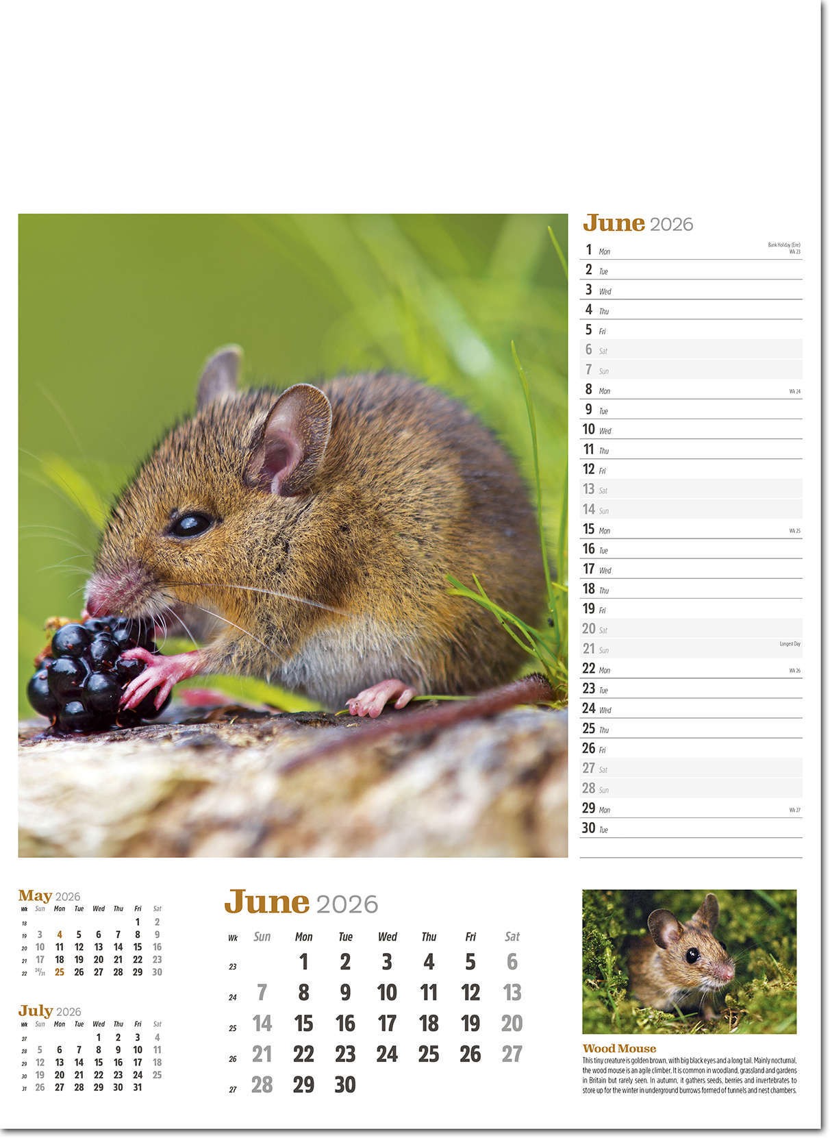 Wildlife in Britain