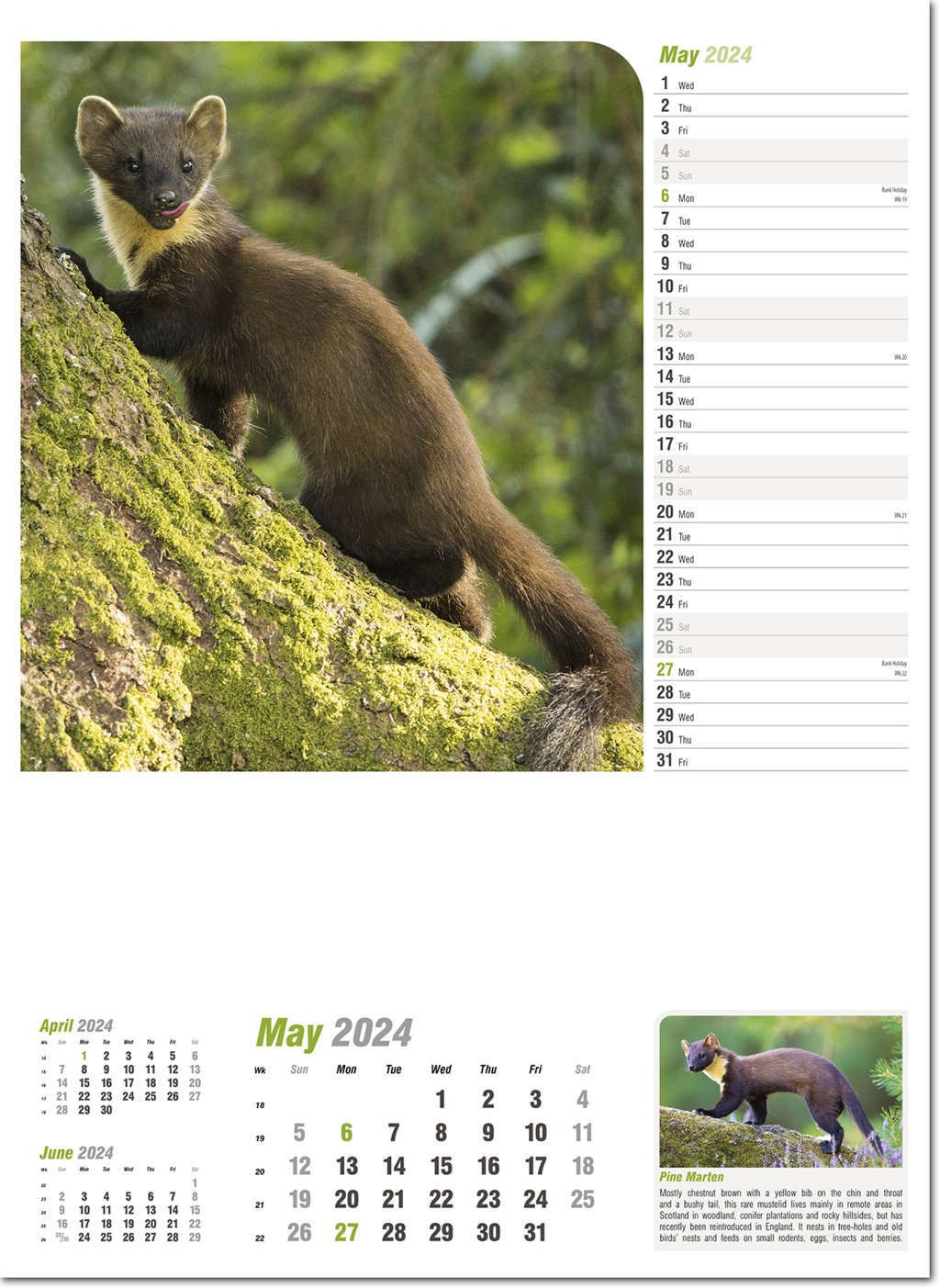 Wildlife in Britain