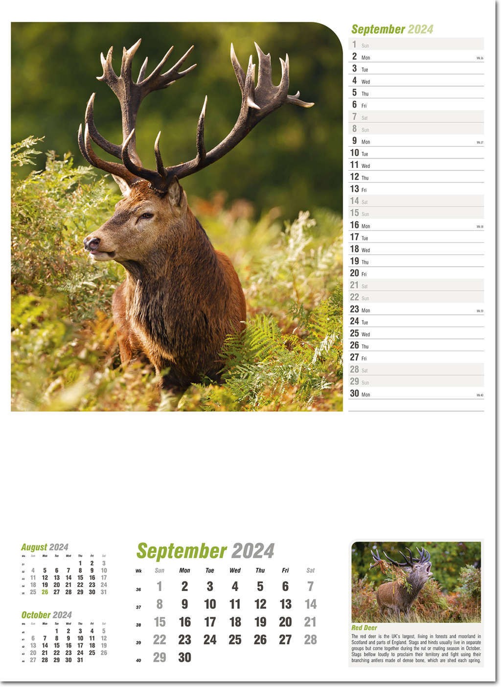 Wildlife in Britain