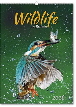 Wildlife in Britain