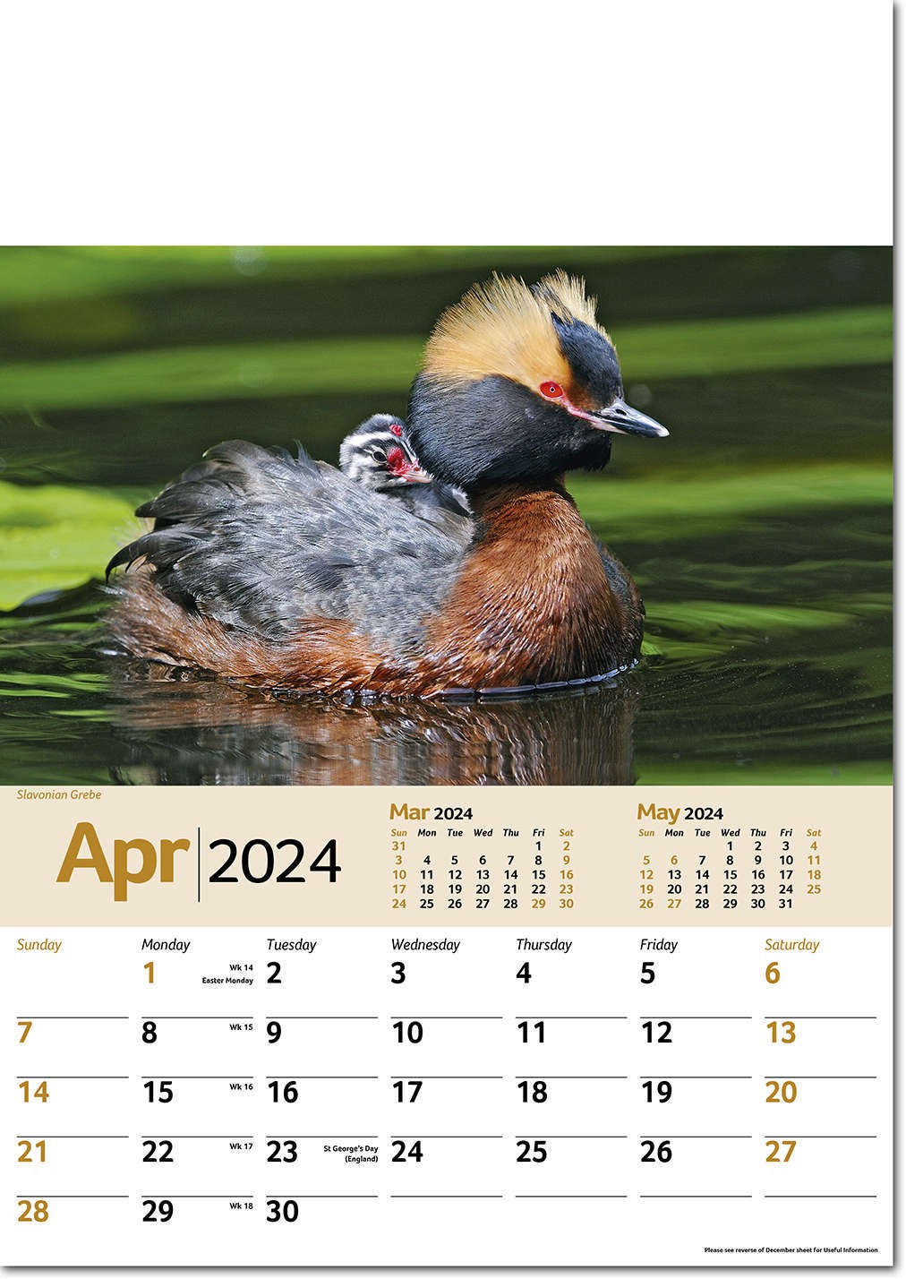Wildlife Memo