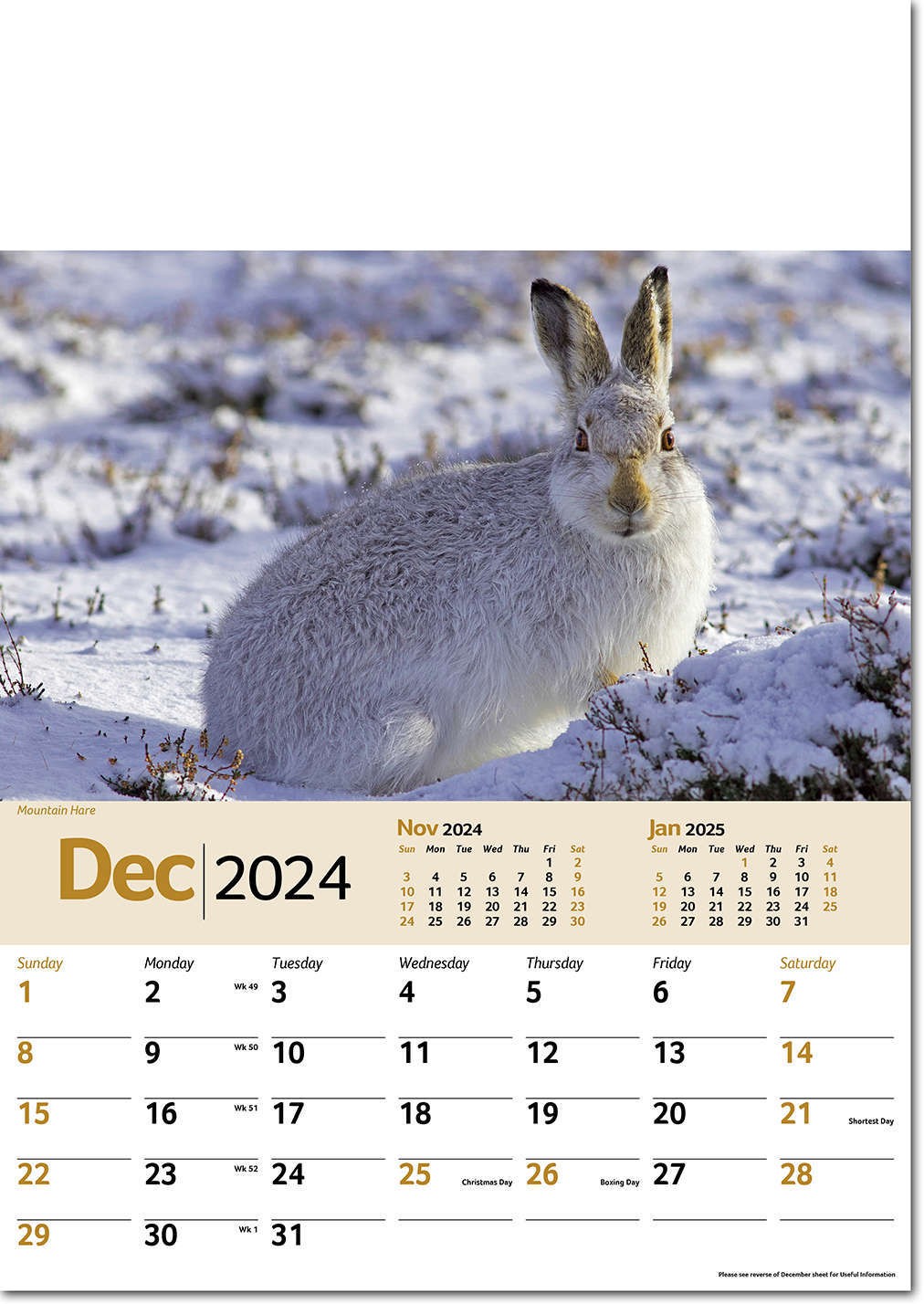 Wildlife Memo