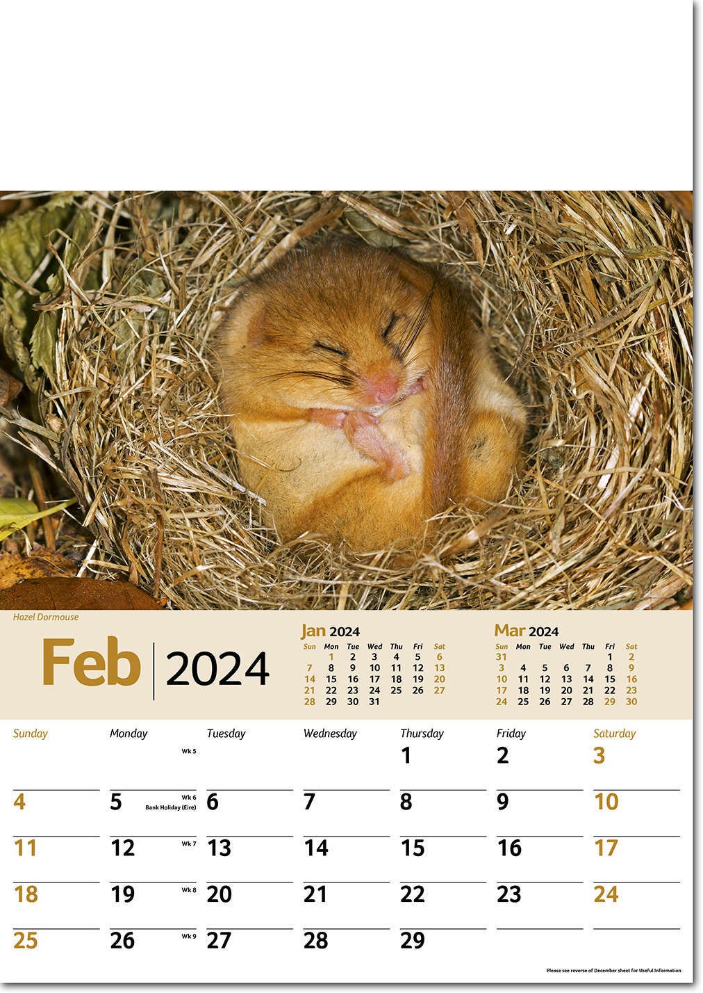 Wildlife Memo