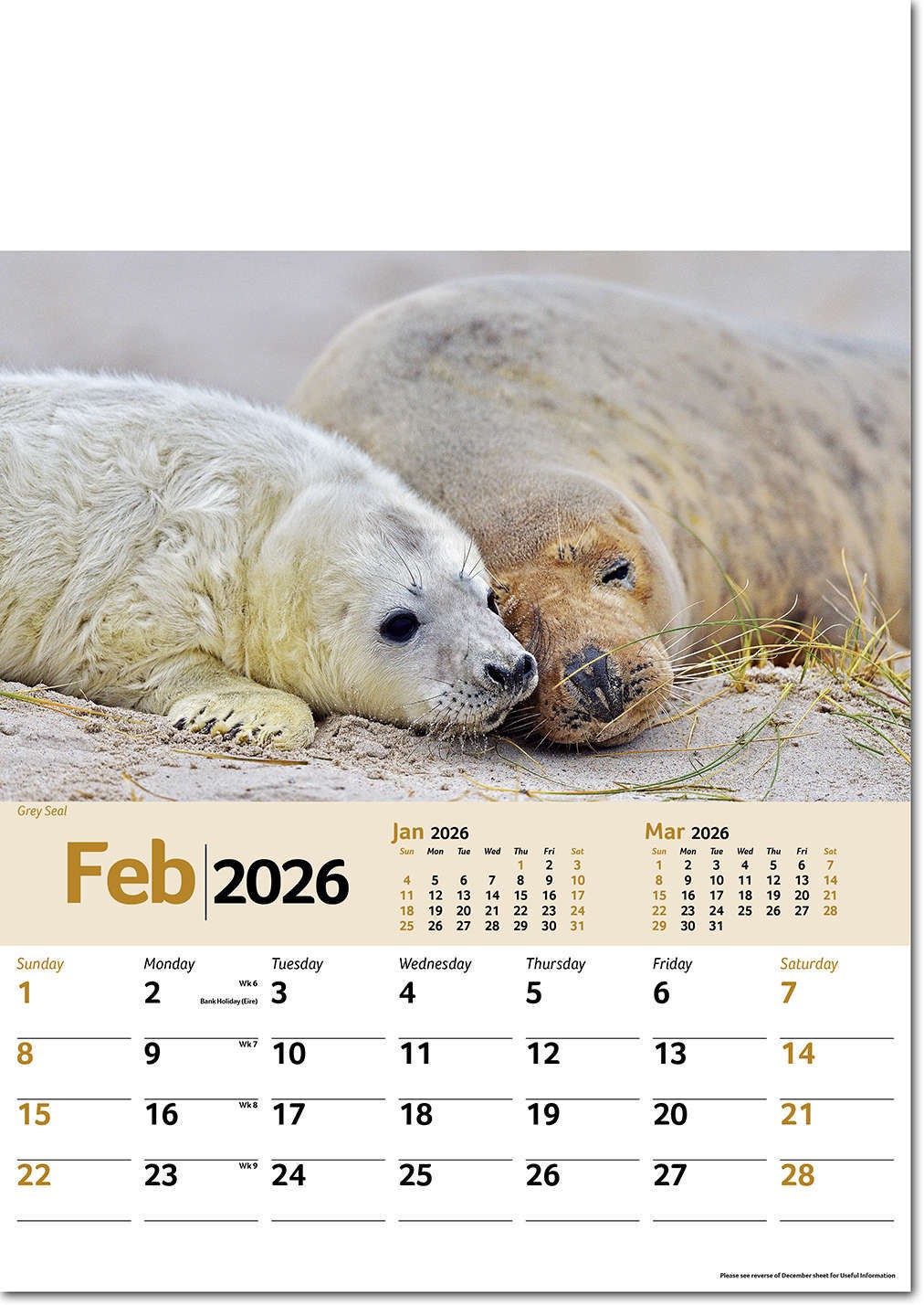 Wildlife Memo