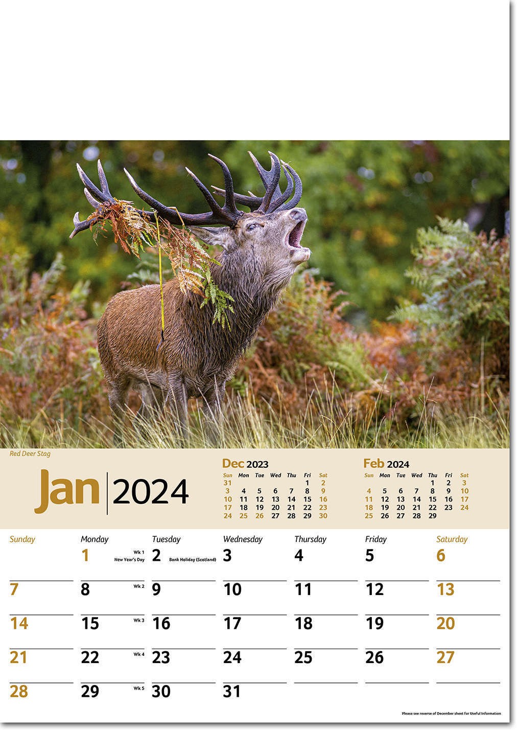 Wildlife Memo