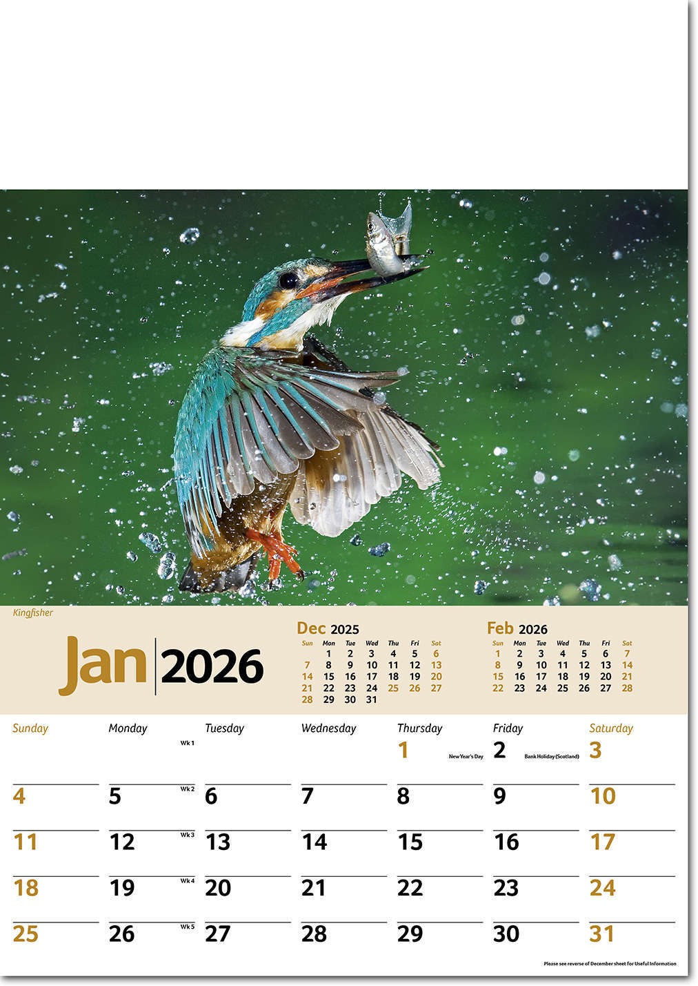 Wildlife Memo