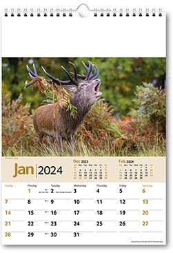 Wildlife Memo