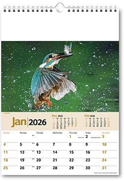 Wildlife Memo